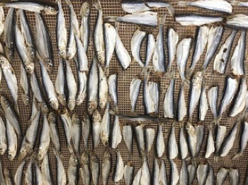 Nets for drying and drying fish