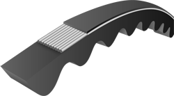 belt_8 image Image