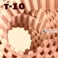T10-1010
