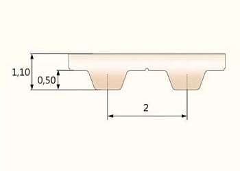 T2