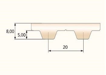 T20