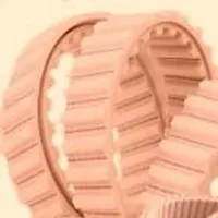 1260мм