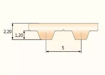 T5