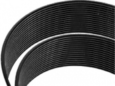 belt_ph